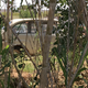 Image for article titled Barcelona Has Some Pretty Cool Cars, And Surprisingly Cool Vans
